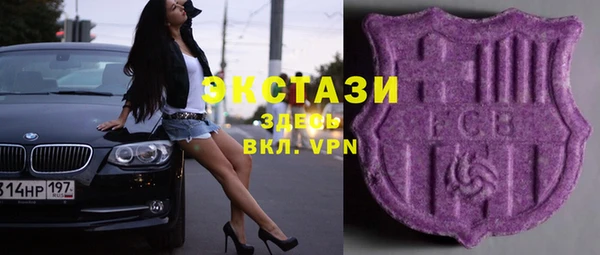 спиды Богородицк