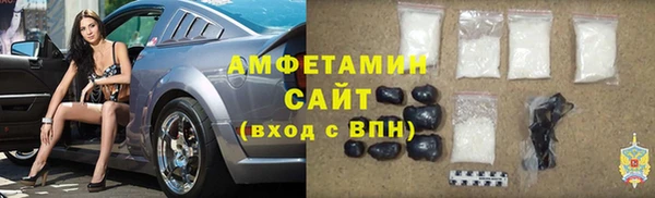спиды Богородицк