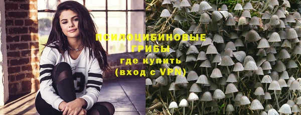 метамфетамин Богданович