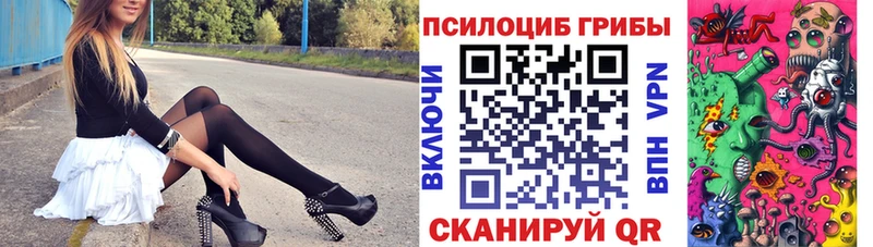 продажа наркотиков  Неман  Псилоцибиновые грибы Cubensis 